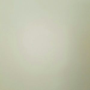 Meet your Posher, Lizzette