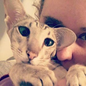 Meet your Posher, Kelli