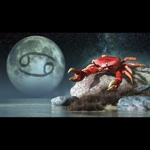 Meet your Posher, Darryl