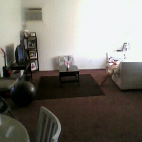 Meet your Posher, Ayvah - Picture 1 of 1