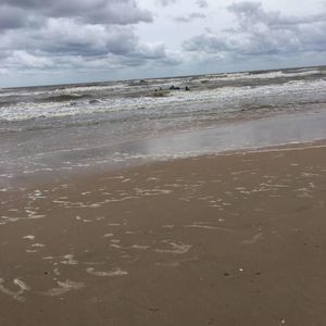 Meet your Posher, Pauline