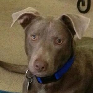 Meet your Posher, Sablelean