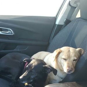 Meet your Posher, Ashley