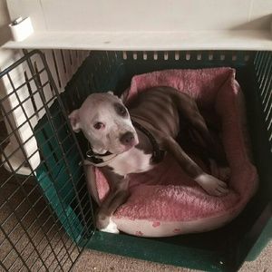 Meet your Posher, Tyronne