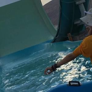 Meet your Posher, Arianna