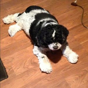 Meet your Posher, Christine