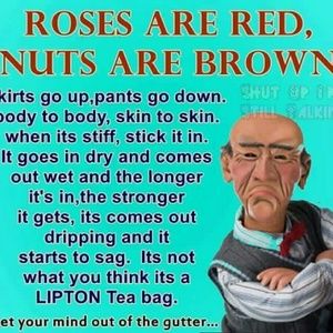 Meet your Posher, Misty