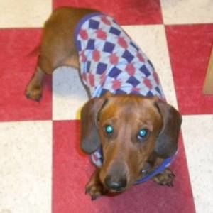 Meet your Posher, Merita