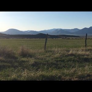 Meet your Posher, Annette