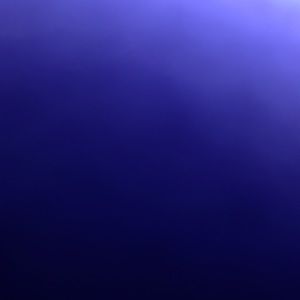 Meet your Posher, Jack