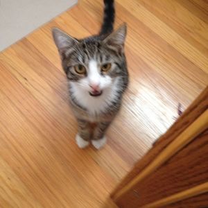 Meet your Posher, Terry lee