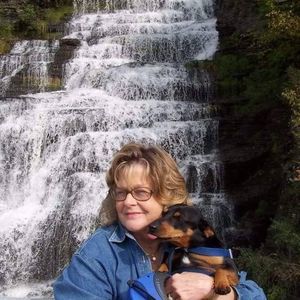 Meet your Posher, Connie