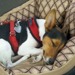 Meet your Posher, Elizabeth