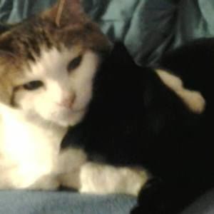 Meet your Posher, Janice