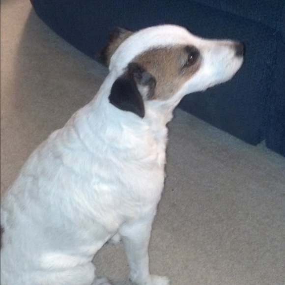 Meet your Posher, Sheila