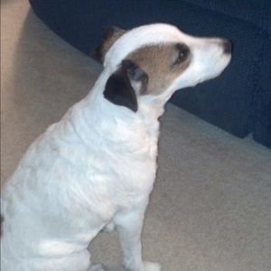 Meet your Posher, Sheila