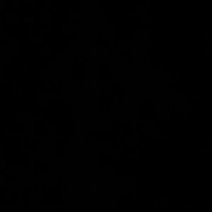 Meet your Posher, Dylan