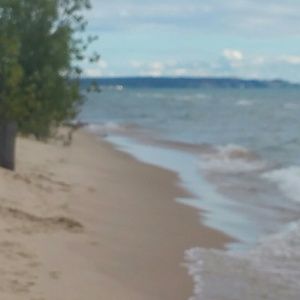 Meet your Posher, Audrey