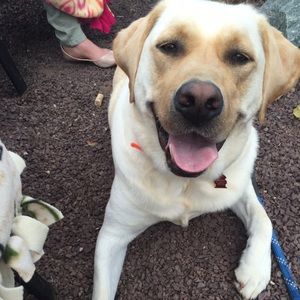 Meet your Posher, Chelsea