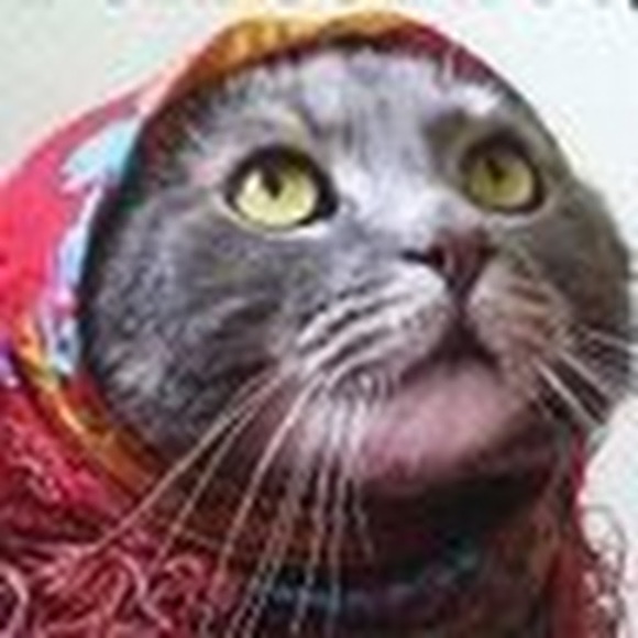 Meet your Posher, Mz