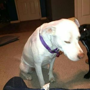 Meet your Posher, Christie