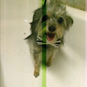 Meet your Posher, Angie