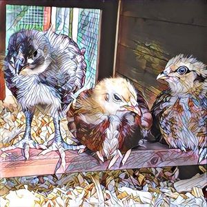 Meet your Posher, Carly