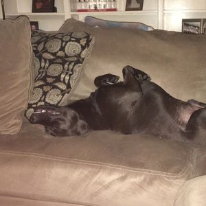 Meet your Posher, Candice