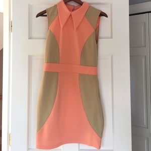 Salmon and Tan Vintage Inspired Dress