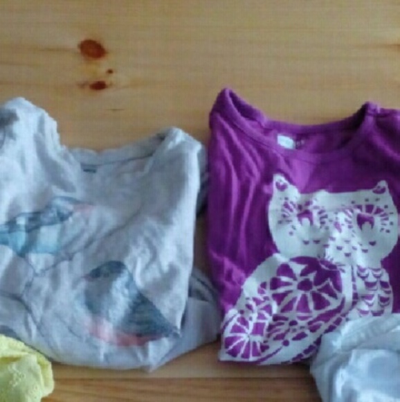 2long sleeve girls shirt lot