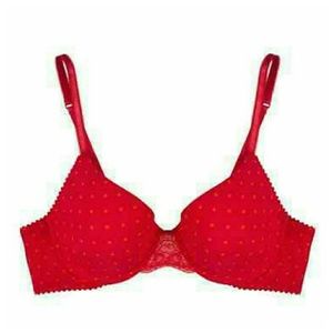 Blush Blaze Pink Dot Blush Caress Bra 34 D NWT