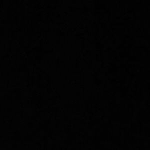 Meet your Posher, Trey