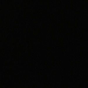 Meet your Posher, Dante