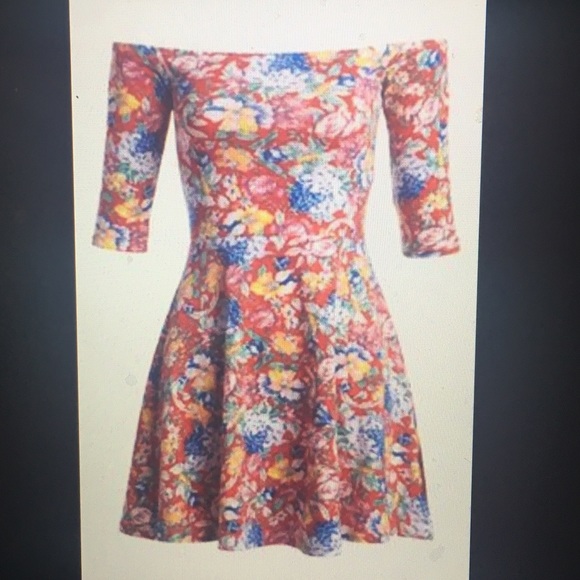 MINK PINK red floral skater dress