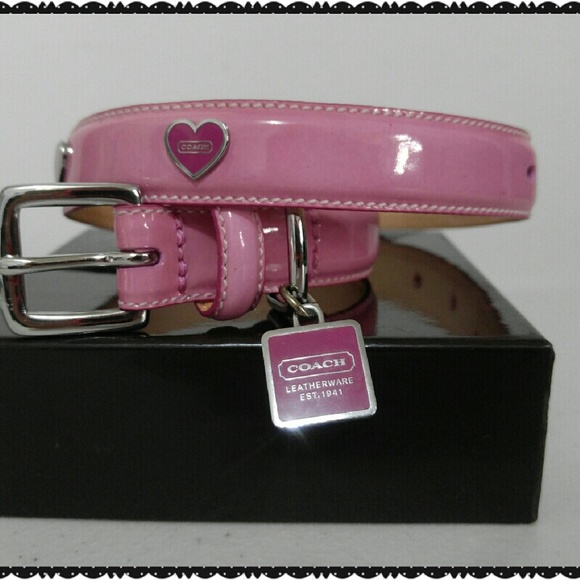 coach dog collar medium