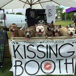 Meet your Posher, Yolanda