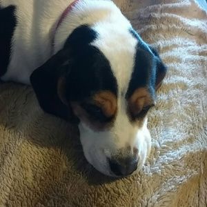 Meet your Posher, Tammy