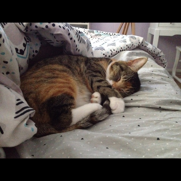 Meet the Posher, Marissa! - Picture 4 of 5