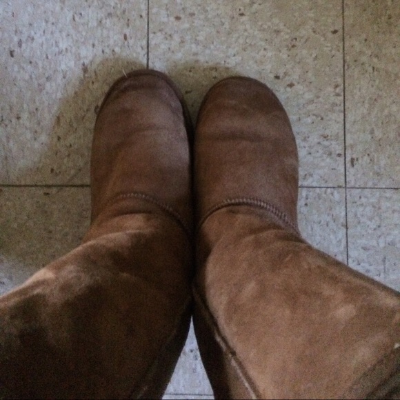 Tall Chestnut Uggs size 9, used but good condition