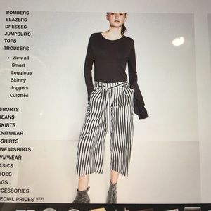 NWOT Zara striped trousers