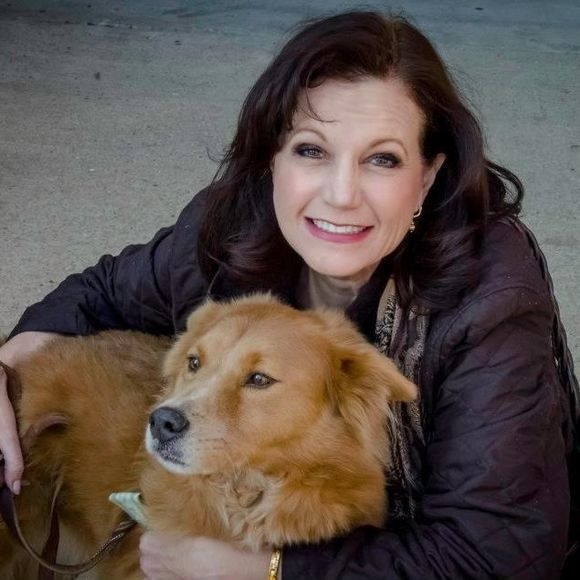 Meet your Posher, Lisa harbour