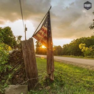 Meet your Posher, Shane