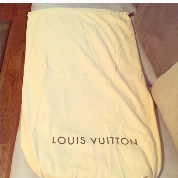 Louis Vuitton LV Bag