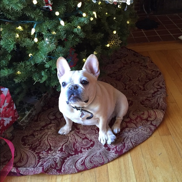 Meet your Posher, Alice - Picture 4 of 4