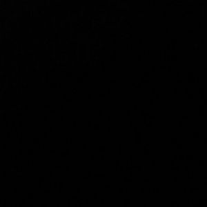 Meet your Posher, Elena