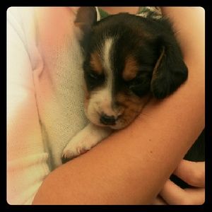 Meet your Posher, Brooke