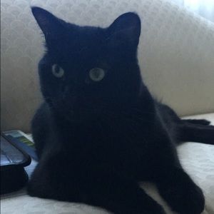 Meet your Posher, Kate