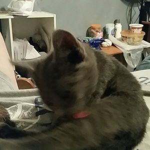 Meet your Posher, Kim