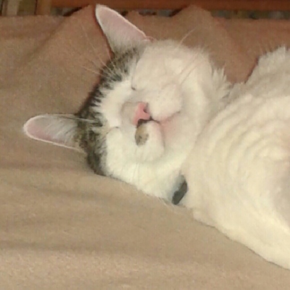 Meet your Posher, Brenda