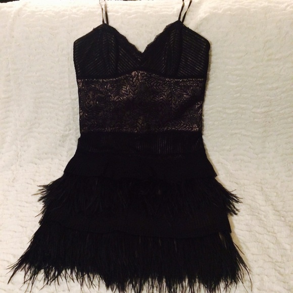 BCBGMAXZARIA Feather Dress
